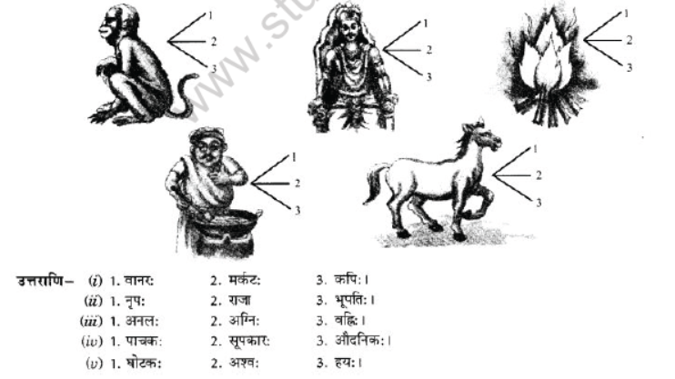 NCERT-Solutions-Class-10-Sanskrit-Chapter-2-Aagya-Gurunahi-Avicharniya-30