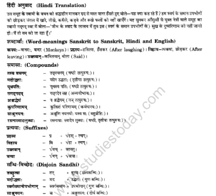 NCERT-Solutions-Class-10-Sanskrit-Chapter-2-Aagya-Gurunahi-Avicharniya-7