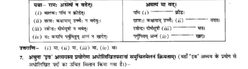 NCERT-Solutions-Class-10-Sanskrit-Chapter-2-Avyani-10