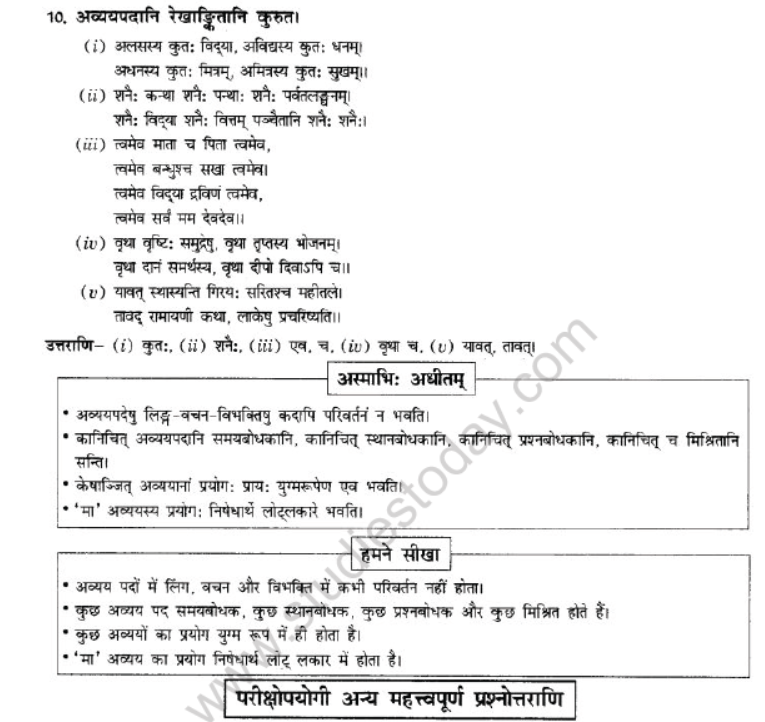 NCERT-Solutions-Class-10-Sanskrit-Chapter-2-Avyani-13