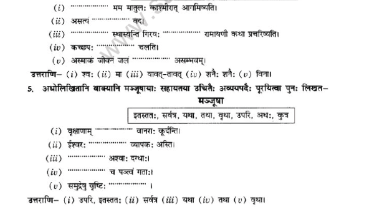 NCERT-Solutions-Class-10-Sanskrit-Chapter-2-Avyani-16