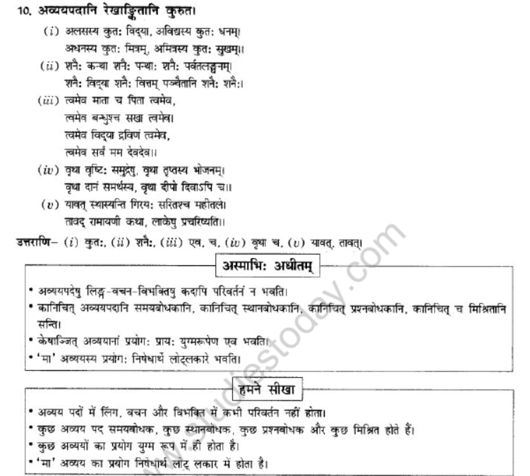 NCERT-Solutions-Class-10-Sanskrit-Chapter-2-Avyani-19