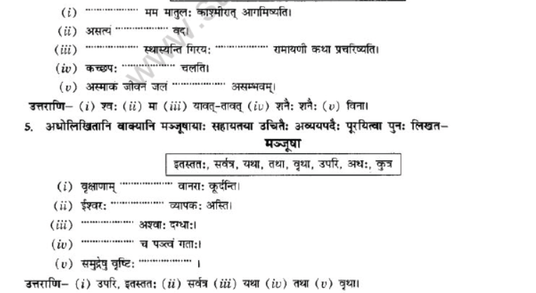 NCERT-Solutions-Class-10-Sanskrit-Chapter-2-Avyani-22
