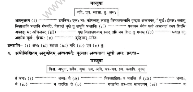 NCERT-Solutions-Class-10-Sanskrit-Chapter-2-Avyani-26
