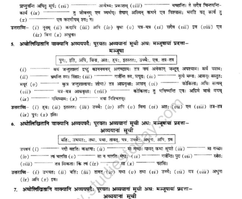 NCERT-Solutions-Class-10-Sanskrit-Chapter-2-Avyani-27