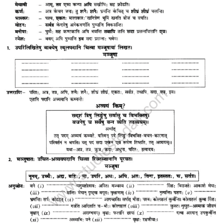 NCERT-Solutions-Class-10-Sanskrit-Chapter-2-Avyani-3