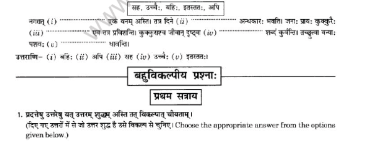NCERT-Solutions-Class-10-Sanskrit-Chapter-2-Avyani-30
