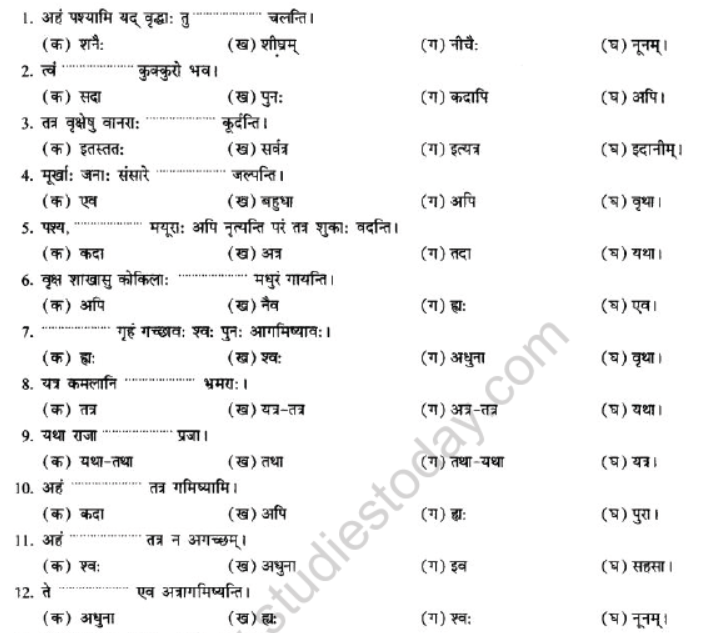 NCERT-Solutions-Class-10-Sanskrit-Chapter-2-Avyani-31