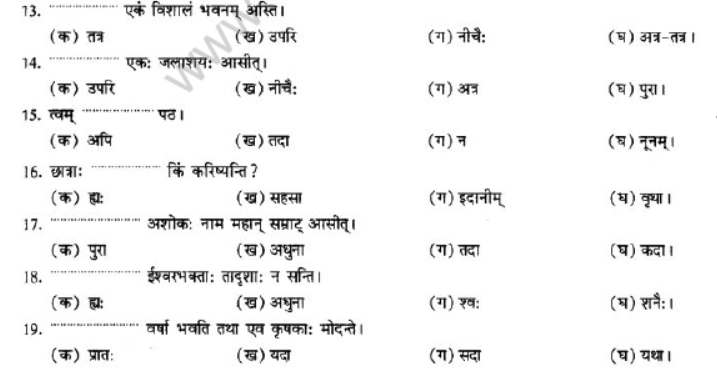 NCERT-Solutions-Class-10-Sanskrit-Chapter-2-Avyani-32