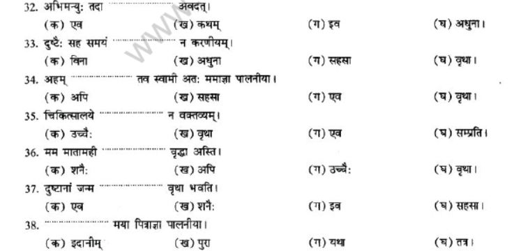 NCERT-Solutions-Class-10-Sanskrit-Chapter-2-Avyani-34