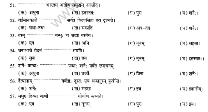 NCERT-Solutions-Class-10-Sanskrit-Chapter-2-Avyani-36