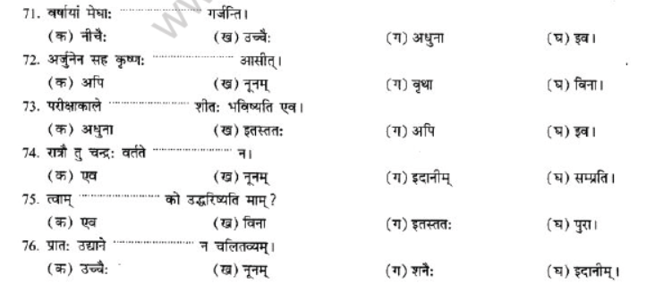 NCERT-Solutions-Class-10-Sanskrit-Chapter-2-Avyani-38