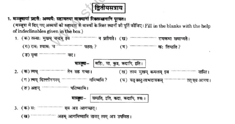 NCERT-Solutions-Class-10-Sanskrit-Chapter-2-Avyani-40