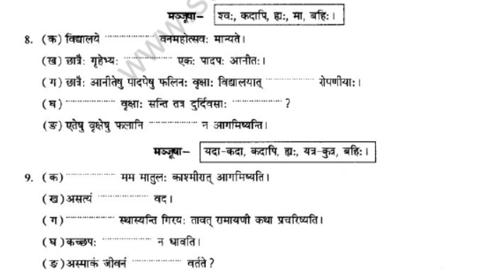 NCERT-Solutions-Class-10-Sanskrit-Chapter-2-Avyani-42