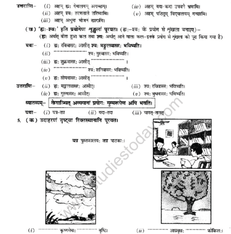 NCERT-Solutions-Class-10-Sanskrit-Chapter-2-Avyani-7