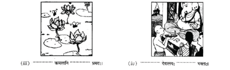 NCERT-Solutions-Class-10-Sanskrit-Chapter-2-Avyani-8