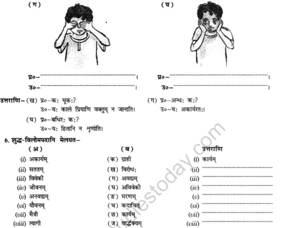 NCERT-Solutions-Class-10-Sanskrit-Chapter-3-Ki-Kim-Upadeyam-28