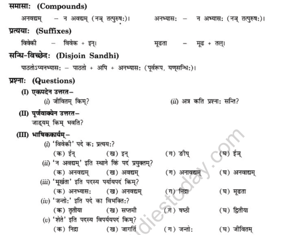 NCERT-Solutions-Class-10-Sanskrit-Chapter-3-Ki-Kim-Upadeyam-8
