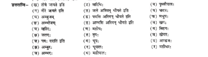 NCERT-Solutions-Class-10-Sanskrit-Chapter-3-Samasa-10