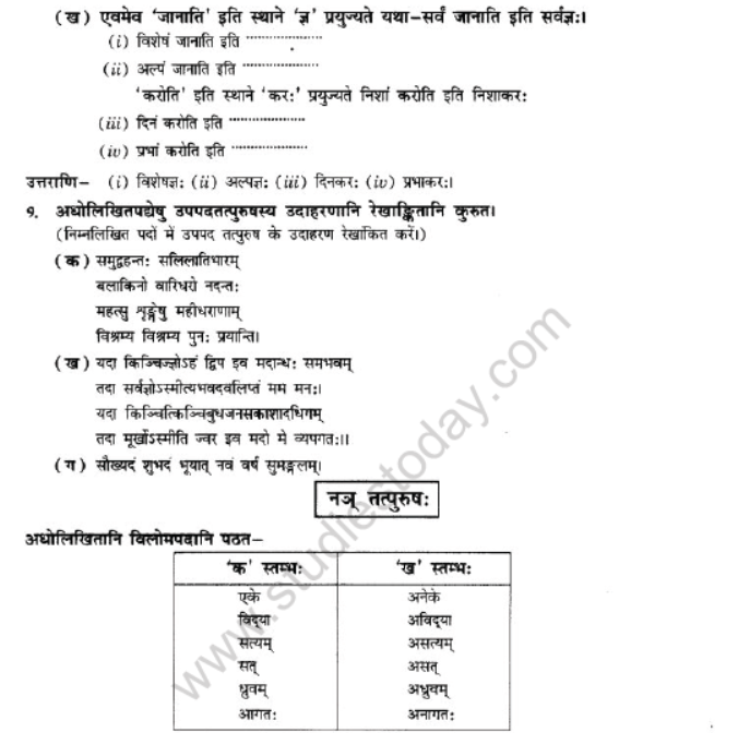 NCERT-Solutions-Class-10-Sanskrit-Chapter-3-Samasa-11