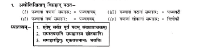 NCERT-Solutions-Class-10-Sanskrit-Chapter-3-Samasa-14