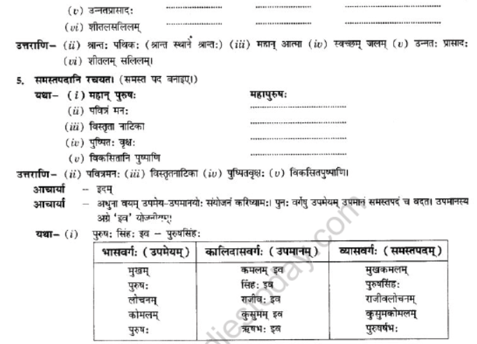 NCERT-Solutions-Class-10-Sanskrit-Chapter-3-Samasa-17