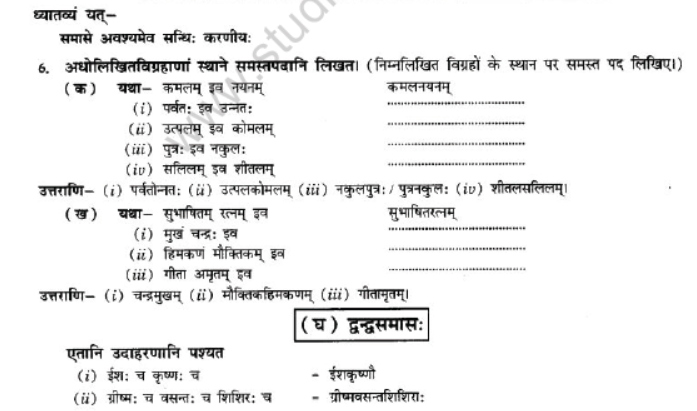 NCERT-Solutions-Class-10-Sanskrit-Chapter-3-Samasa-18