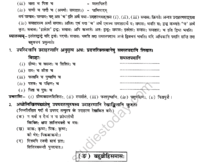 NCERT-Solutions-Class-10-Sanskrit-Chapter-3-Samasa-19