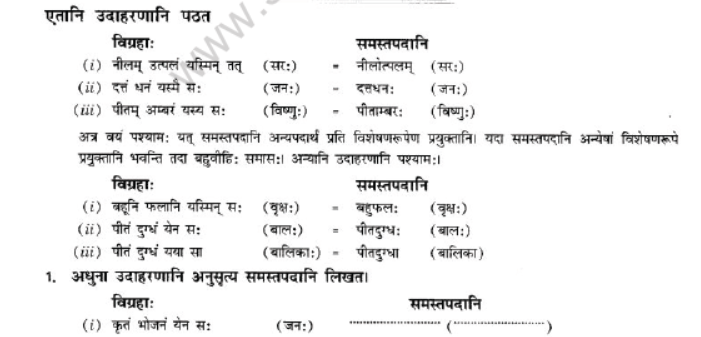 NCERT-Solutions-Class-10-Sanskrit-Chapter-3-Samasa-20