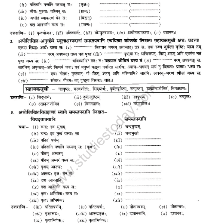 NCERT-Solutions-Class-10-Sanskrit-Chapter-3-Samasa-21