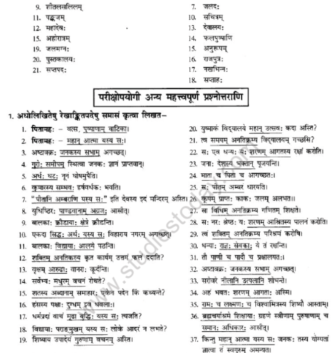 NCERT-Solutions-Class-10-Sanskrit-Chapter-3-Samasa-27