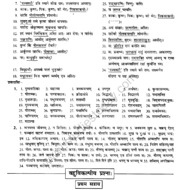 NCERT-Solutions-Class-10-Sanskrit-Chapter-3-Samasa-29