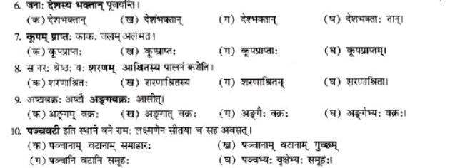 NCERT-Solutions-Class-10-Sanskrit-Chapter-3-Samasa-32