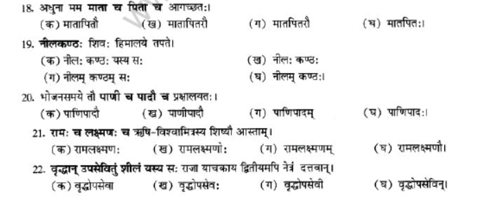 NCERT-Solutions-Class-10-Sanskrit-Chapter-3-Samasa-38