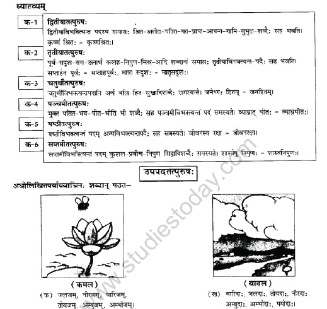 NCERT-Solutions-Class-10-Sanskrit-Chapter-3-Samasa-7
