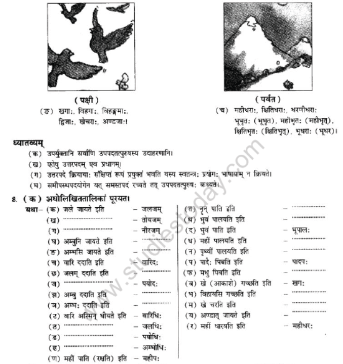 NCERT-Solutions-Class-10-Sanskrit-Chapter-3-Samasa-9