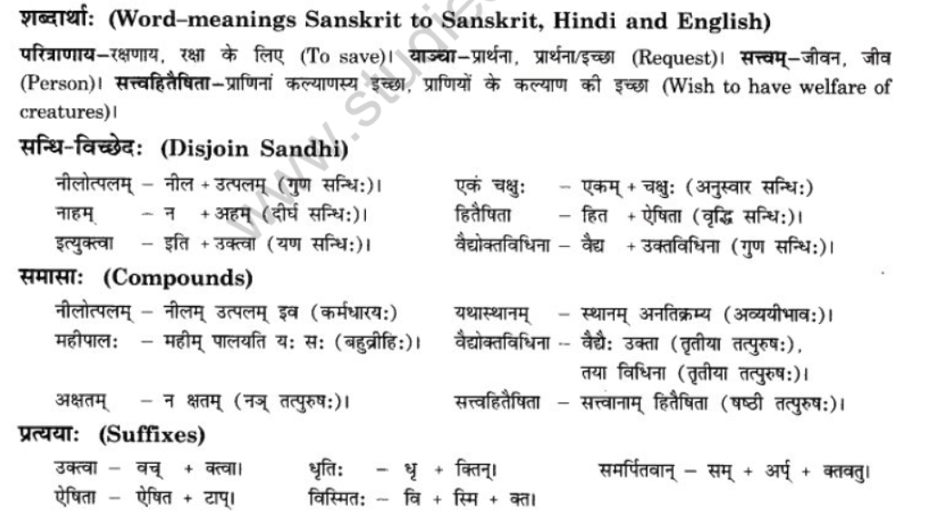 NCERT-Solutions-Class-10-Sanskrit-Chapter-4-Nasti-Tyagsamay-Sukham-14