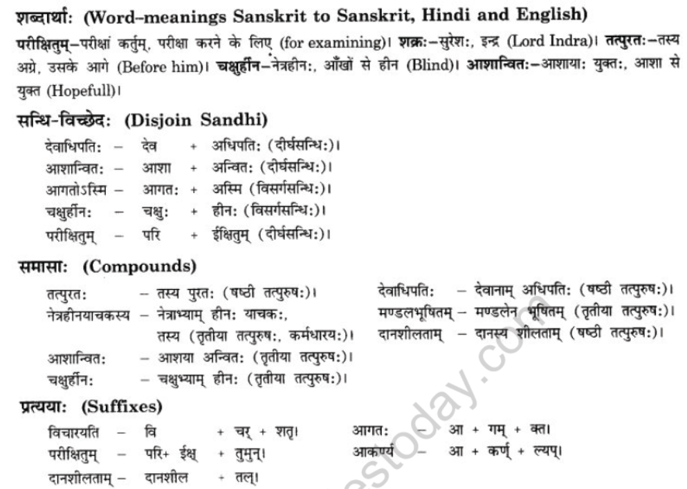 NCERT-Solutions-Class-10-Sanskrit-Chapter-4-Nasti-Tyagsamay-Sukham-5