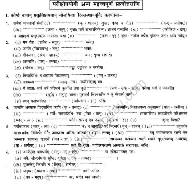 NCERT-Solutions-Class-10-Sanskrit-Chapter-4-Prtyaya-38