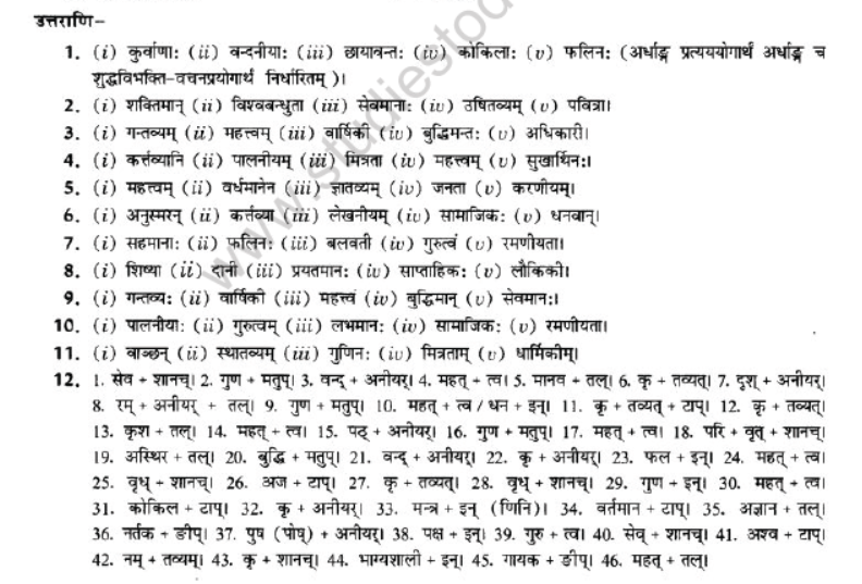 NCERT-Solutions-Class-10-Sanskrit-Chapter-4-Prtyaya-42