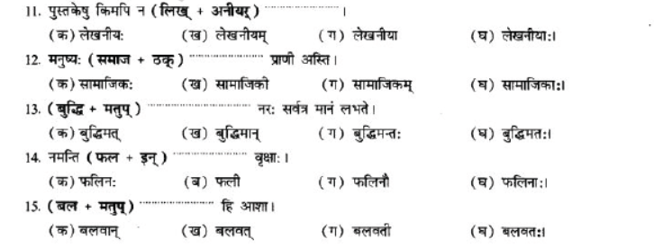 NCERT-Solutions-Class-10-Sanskrit-Chapter-4-Prtyaya-44