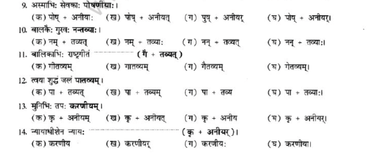 NCERT-Solutions-Class-10-Sanskrit-Chapter-4-Prtyaya-46