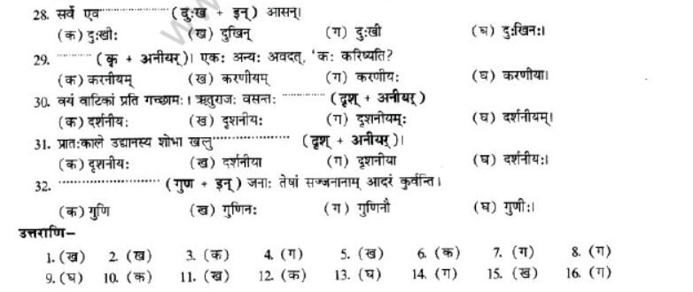 NCERT-Solutions-Class-10-Sanskrit-Chapter-4-Prtyaya-48