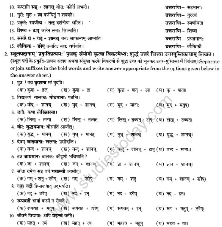 NCERT-Solutions-Class-10-Sanskrit-Chapter-4-Prtyaya-51