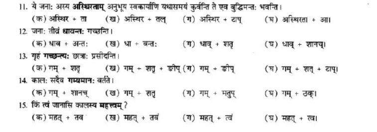 NCERT-Solutions-Class-10-Sanskrit-Chapter-4-Prtyaya-52