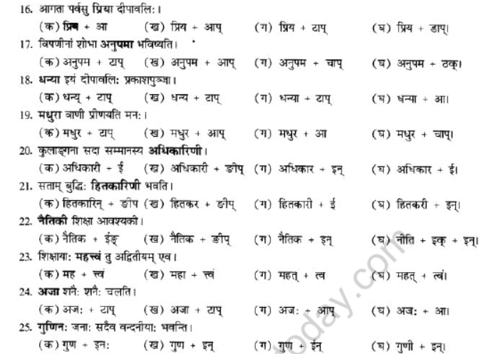 NCERT-Solutions-Class-10-Sanskrit-Chapter-4-Prtyaya-53