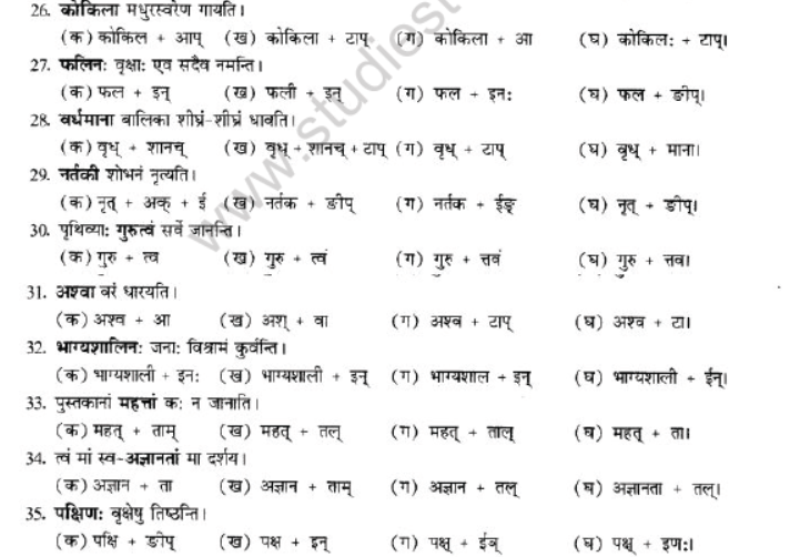 NCERT-Solutions-Class-10-Sanskrit-Chapter-4-Prtyaya-54