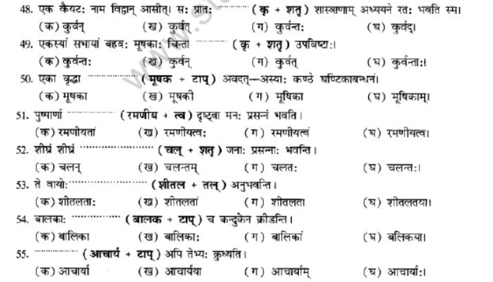 NCERT-Solutions-Class-10-Sanskrit-Chapter-4-Prtyaya-57