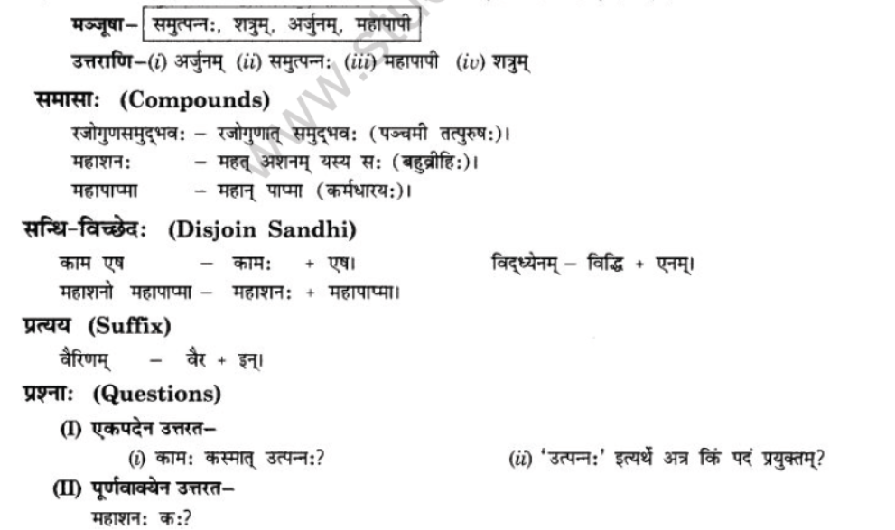 NCERT-Solutions-Class-10-Sanskrit-Chapter-5-Abhasvashang-Man-3