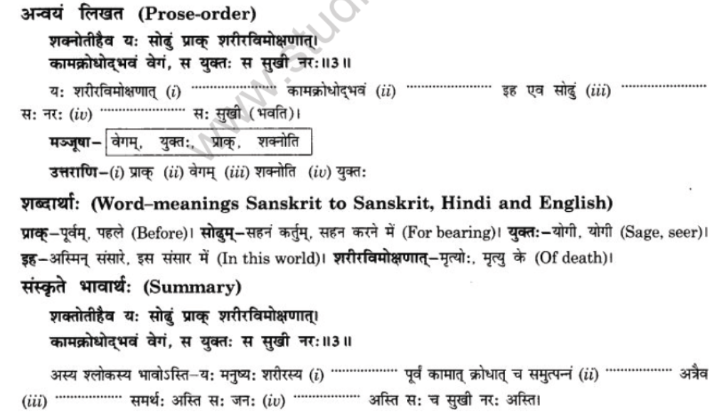 NCERT-Solutions-Class-10-Sanskrit-Chapter-5-Abhasvashang-Man-5